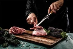 Forged Olive Uitbeenmes 16cm -BBQ Verkoopwinkel forged olive uitbeenmes 16cm 2