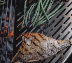 Kamado Joe Half Rond Lasergesneden Rvs Rooster -BBQ Verkoopwinkel kamado joe half rond lasergesneden rvs rooster 2