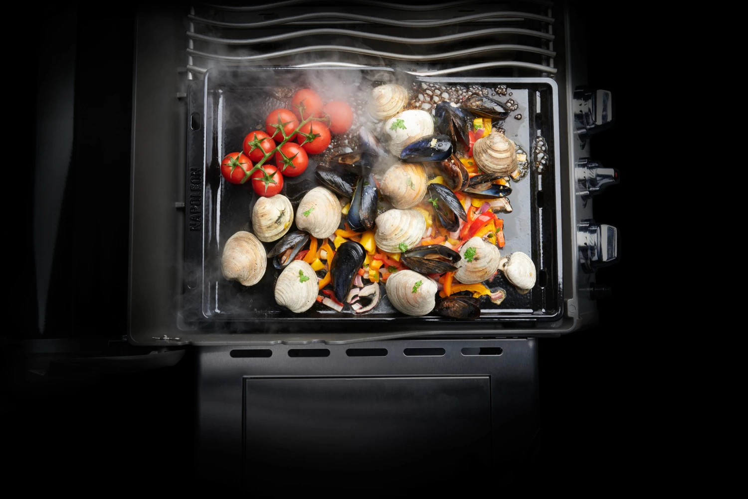 Napoleon Plancha 2 Napoleon Plancha - Afbeelding 2