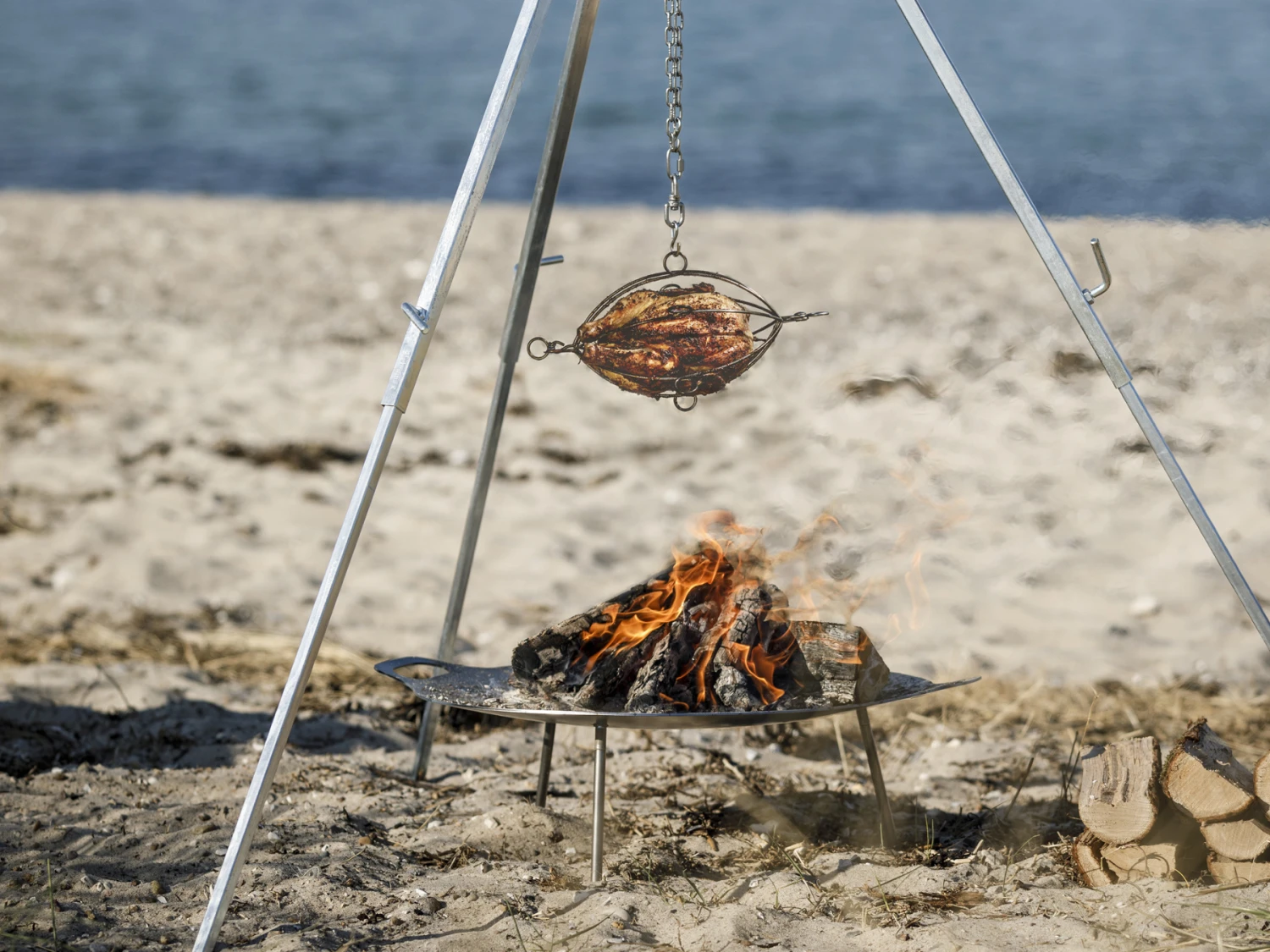 Petromax Grillmand Gevogelte 6 Petromax Grillmand Gevogelte - Afbeelding 6